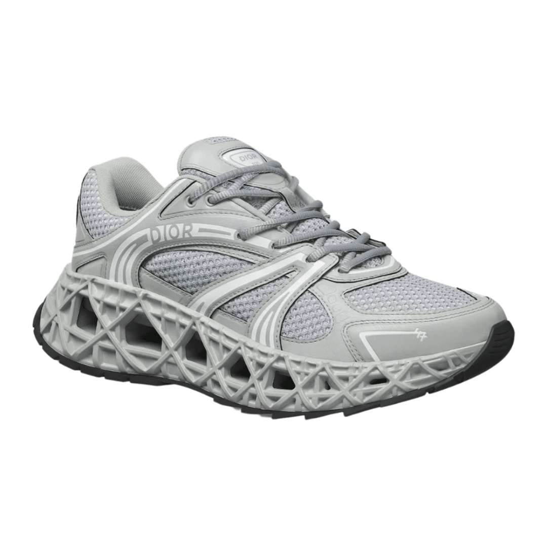 Dior B35 Nxxt "Gray"
