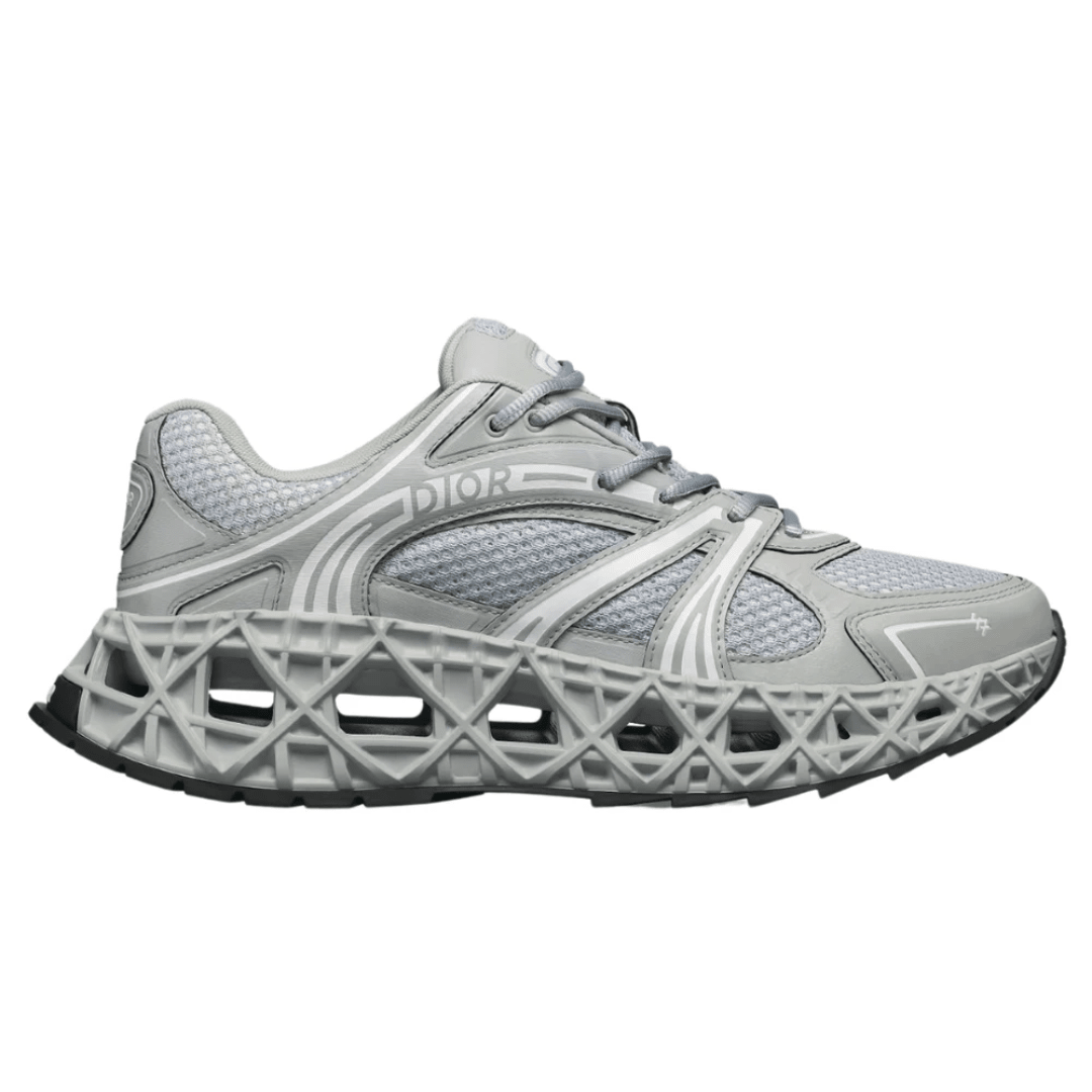 Dior B35 Nxxt "Gray"