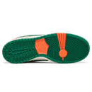Jarritos x Dunk Low SB Special Box macro texture