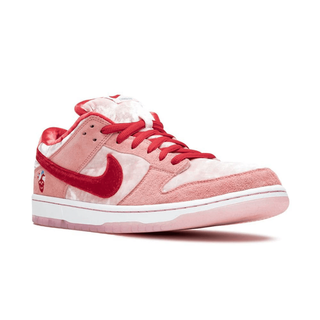 Nike Dunk Low Pro sneakers close-up detail